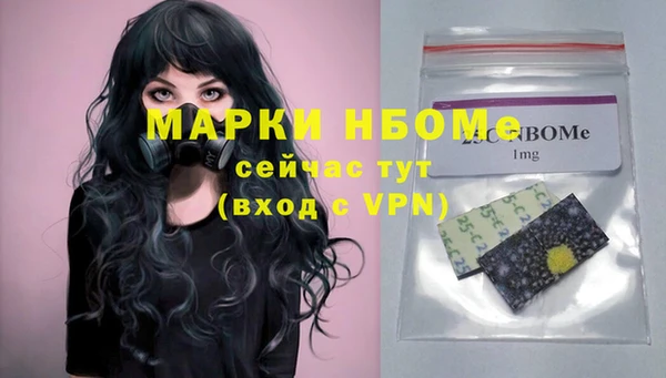 соль ск Снежинск