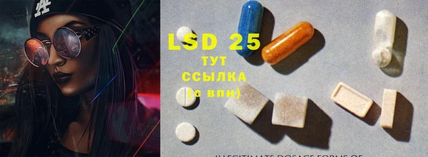 ГАЛЛЮЦИНОГЕННЫЕ ГРИБЫ Белоозёрский