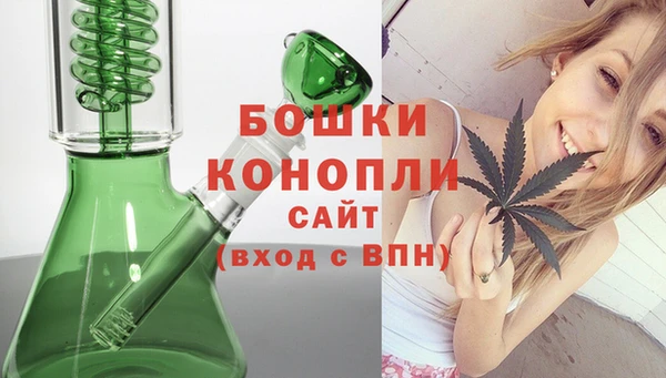 ГАЛЛЮЦИНОГЕННЫЕ ГРИБЫ Белоозёрский